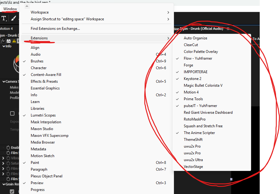 After Effects Window menu with Extensions submenu open, showing installed plugins including pulseJT and Flow